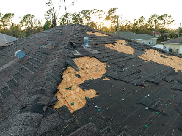 Best Rubber Roofing (EPDM, TPO)  in Cutlerville, MI