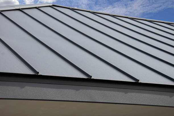Best Rubber Roofing (EPDM, TPO)  in Cutlerville, MI